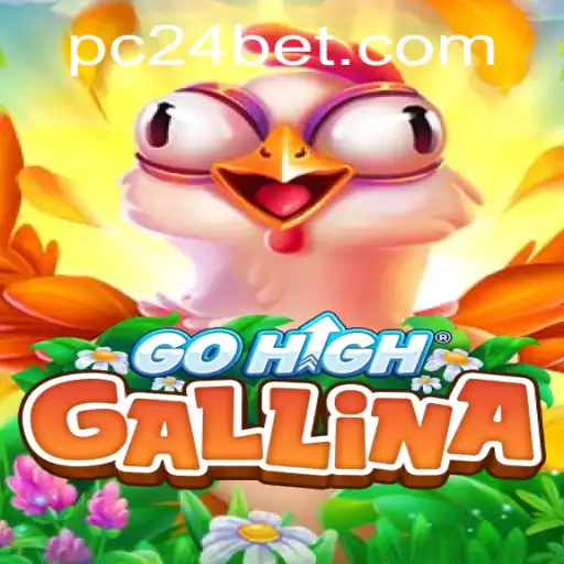 Discovering GoHighGallina: The New Thrill-Packed Adventure